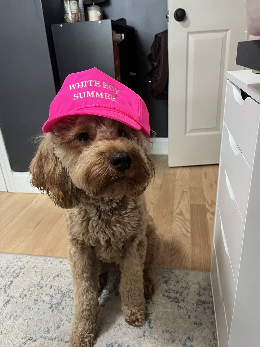 Trump really said run it back