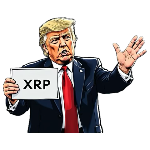 UsedToBe@realBasedAmy tweet media