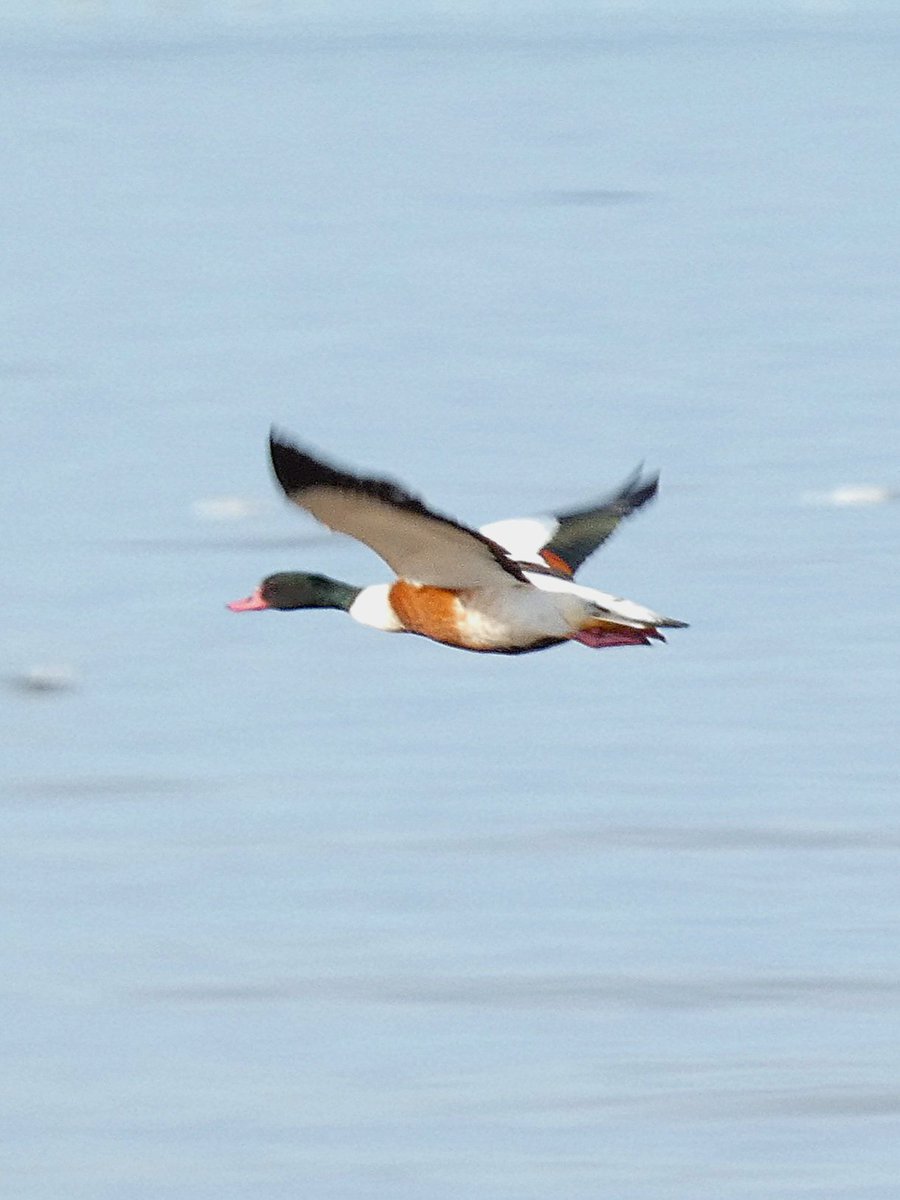 johnjayf's tweet image. 