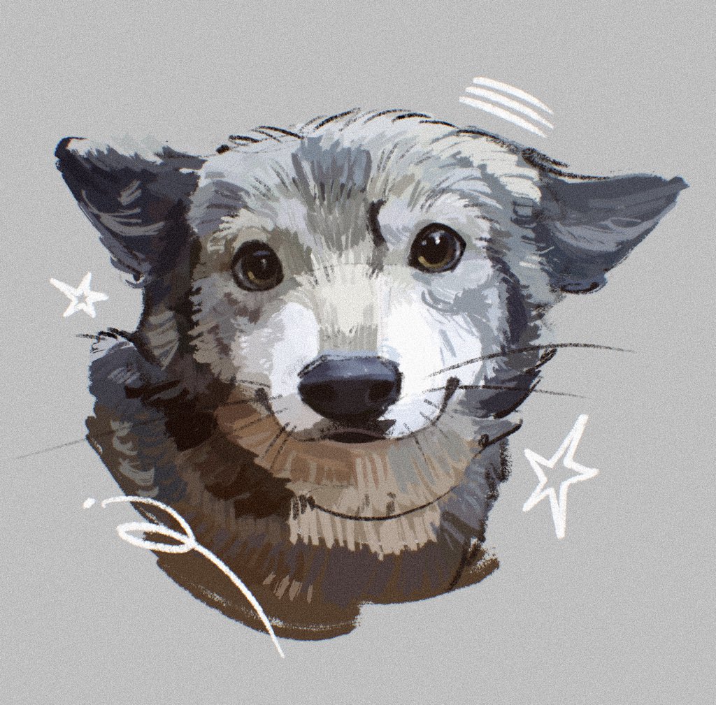 SoulFullHyena's tweet image. 