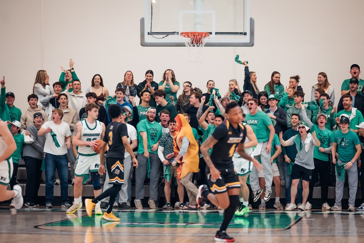 Hosh Posh Photography tweet media