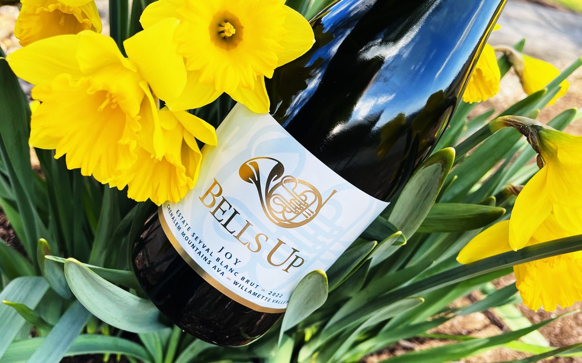 Estate Seyval Blanc Helios and Joy Bubbles return this spring! Winemaker Dave told Oregon Wine Press: "Side-by-side tastings are a fun way to show customers the impact the bubbles make. Most people can’t believe the two wines come from the same batch."

bellsupwinery.com/2024/11/07/bel…