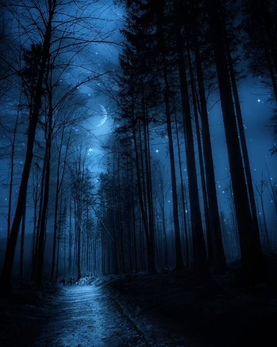 Pictures (@piitures) on Twitter photo 