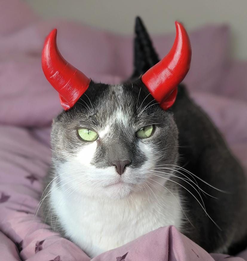 Say what you like about the issues with artificial intelligence, but I don't have the artistic and technical skills to capture Charlie's true nature without it, nor the cat-wrangling skills to make him wear fancy dress in real life.