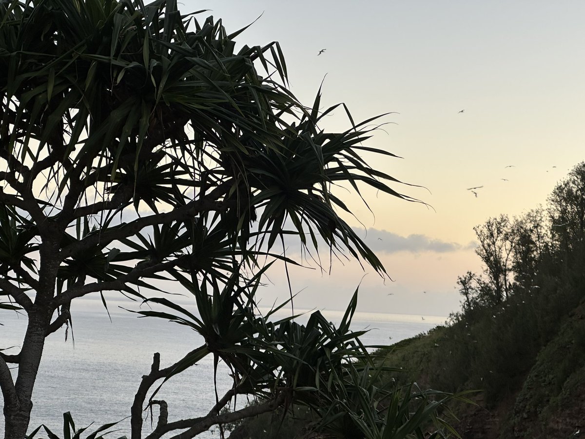 一大早到这个灯塔看日出，遗憾的是这里关了。

小扎在附近买了1000英亩的庄园。

加州人到夏威夷看日出，太轻松了，这里现在早上7点，加州早上9点，舒服😌