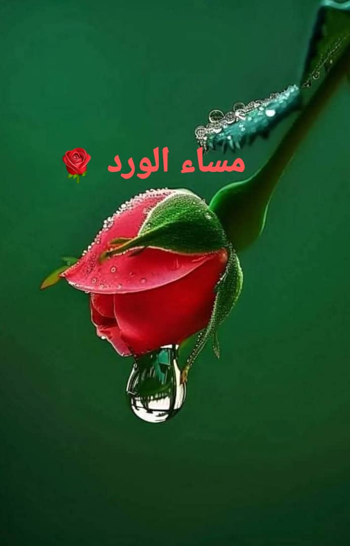 🔥💥💯 ليام العلي 💥🔥💯 (@lyam_alali) on Twitter photo 