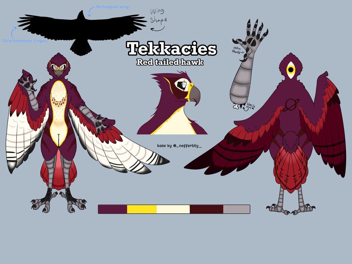 Tofu_Civet's tweet photo. Twenty one hours… sketch layers glitching out… laggy files… through all that I prevailed. Say hello to Tekkacies’s new ref sheet! #furry #furryart #fursona #avian https://t.co/ZAVZxeJjzT