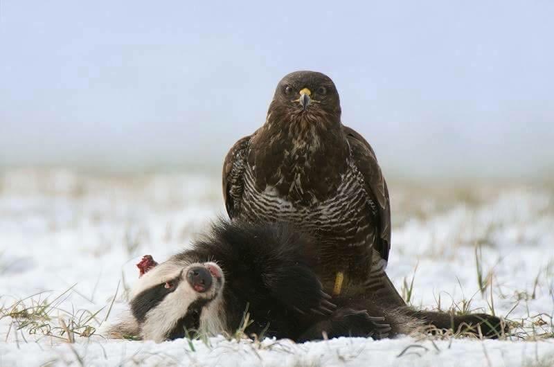 Tom Ksobiech tweet media