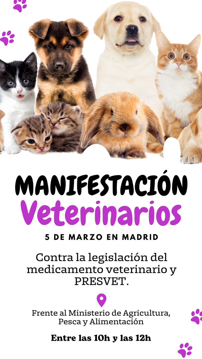 #NoAlDecreto666

#VocesSolidarias2025