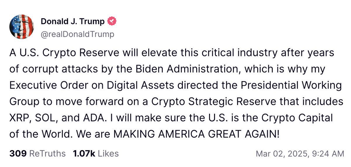 Shitcoin strategic reserve