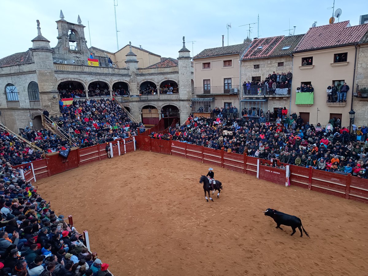carnavaldeltoro's tweet photo. Novillada del Bolsín 
Ganaderías @CastillejodeH (último vuelta al ruedo con petición de indulto) y El Canario (rejones)
Lleno en los #Tablaos
David Fernandez, ovación
Salvador Herrero, palmas
Noel García, palmas
J.Manuel Vidal, 2 orejas y rabo
Víctor Herrero, oreja https://t.co/mSfXSJAdQE