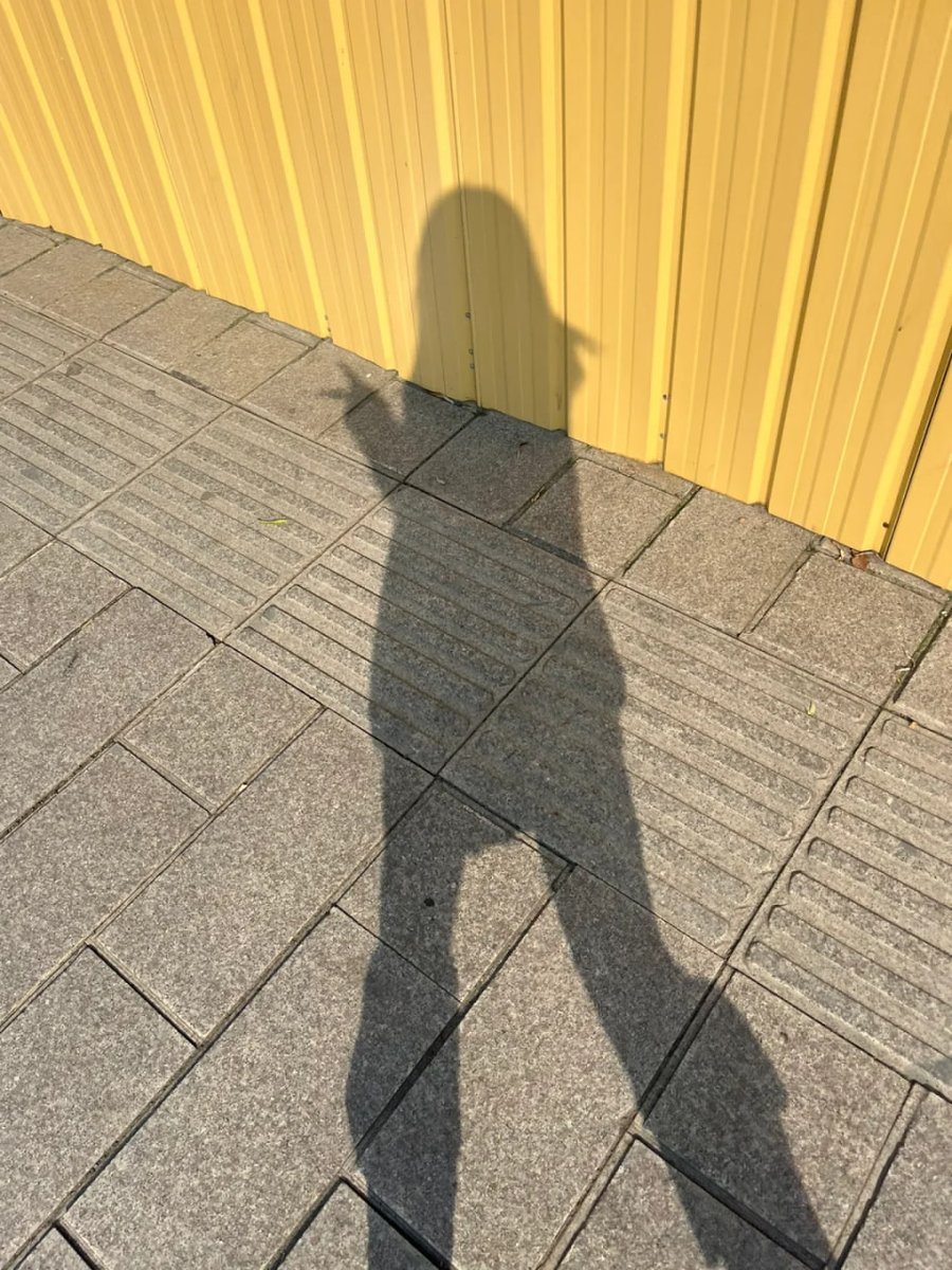Remember to get some sunshine every day🚶‍♀️ 🚶‍♂️‍
