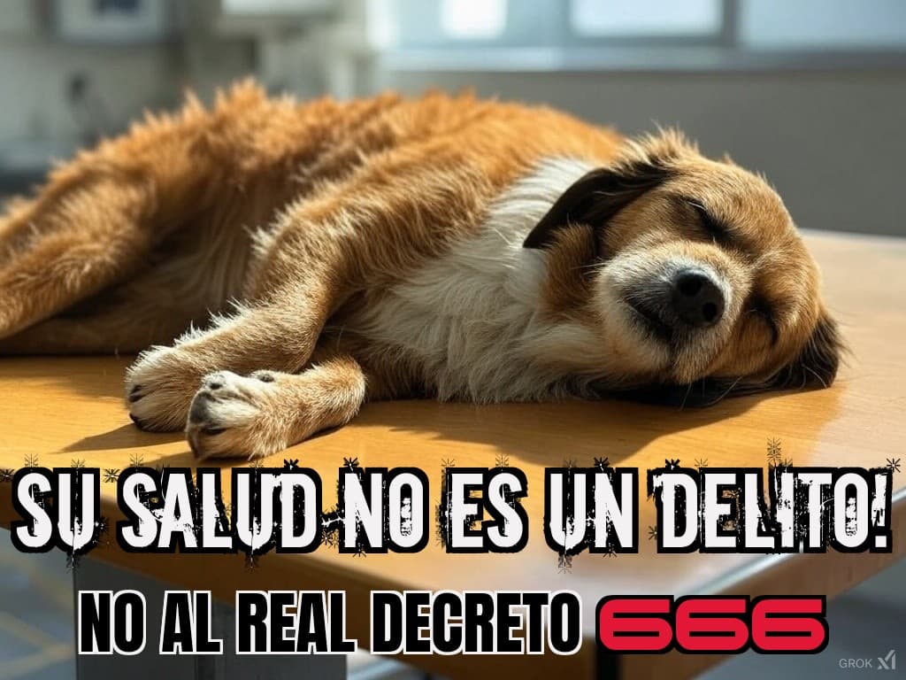 #NoAlDecreto666
#VocesSolidarias2025