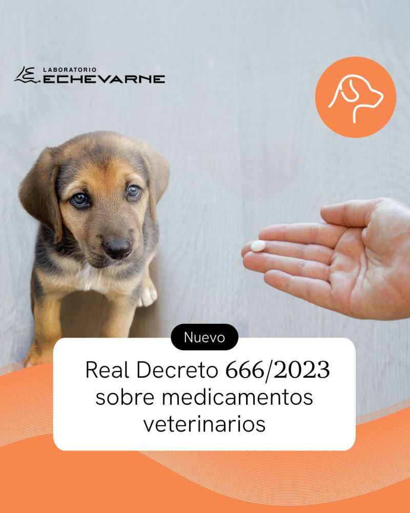 #NoAlDecreto666
#VocesSolidarias2025