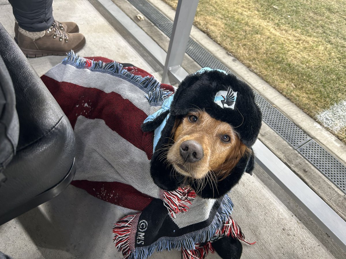 NaginiLife's tweet photo. Cold night for United home opener https://t.co/qc5Ticddtn