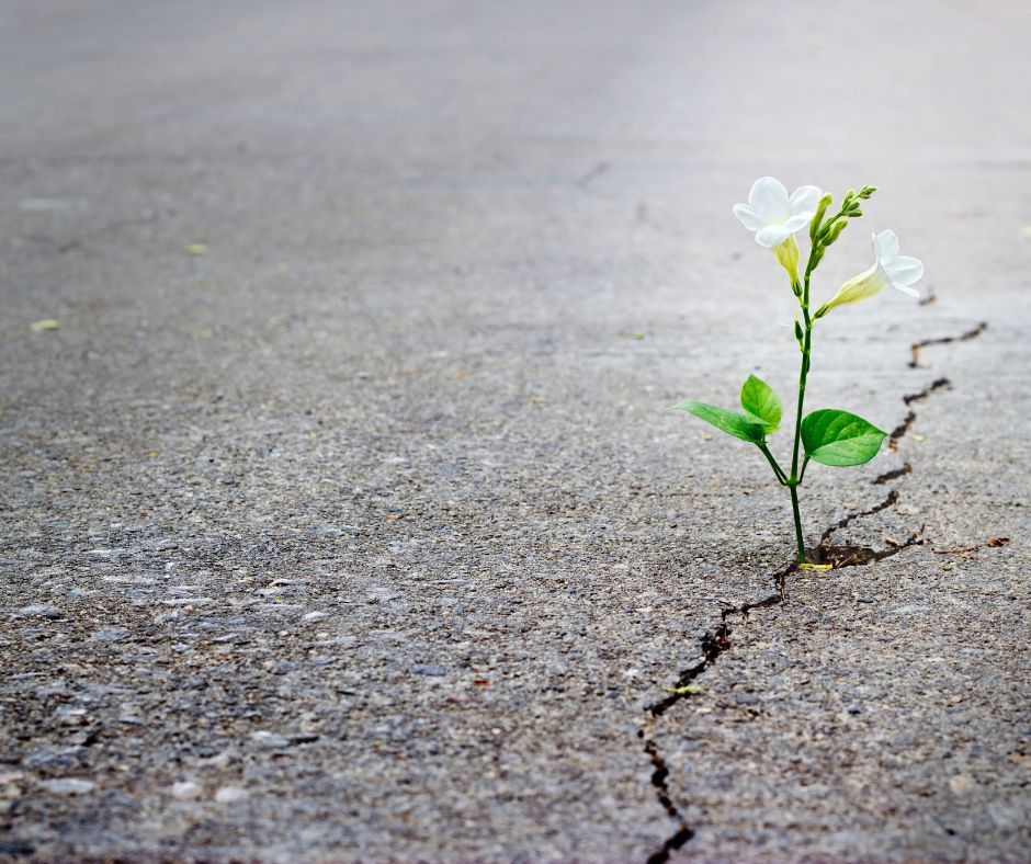 CenterforChronicIllness tweet media