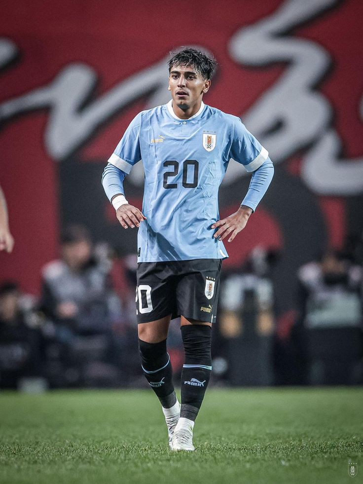 Mh_apns's tweet photo. @VerdaoFanaticoo Piquerez
Facundo Torres
Felipe Anderson https://t.co/leNlqW751O