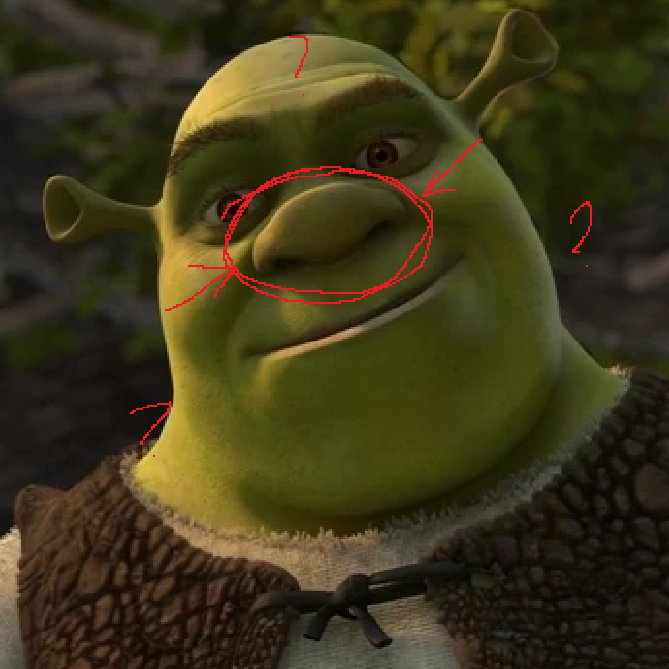 sidewayseal's tweet photo. @DpDontWantBread who the fuck said anything about them being black? ogres literally have big noses in the movies and if you associate that w skin colour i think thats a you problem famalang https://t.co/49p3JbB4bM