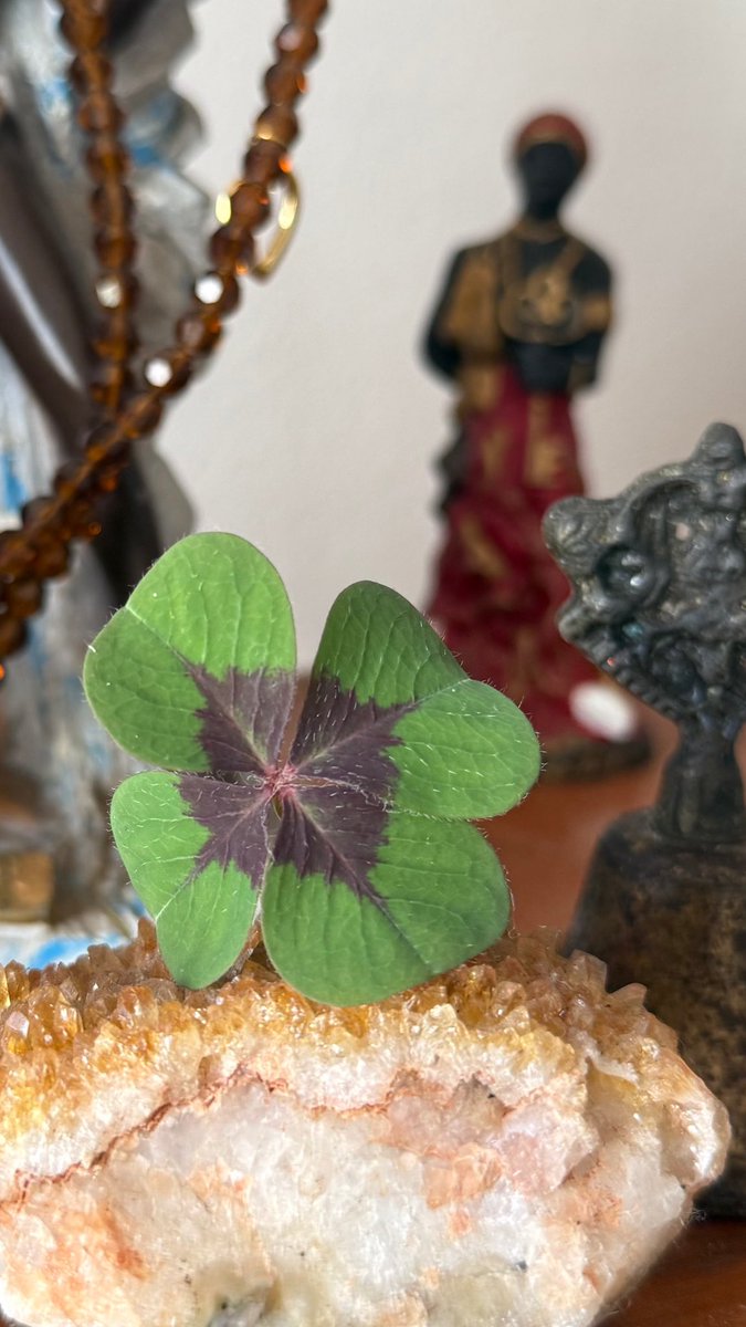 🍀 Sorte na semana para quem ver essa imagem 🍀