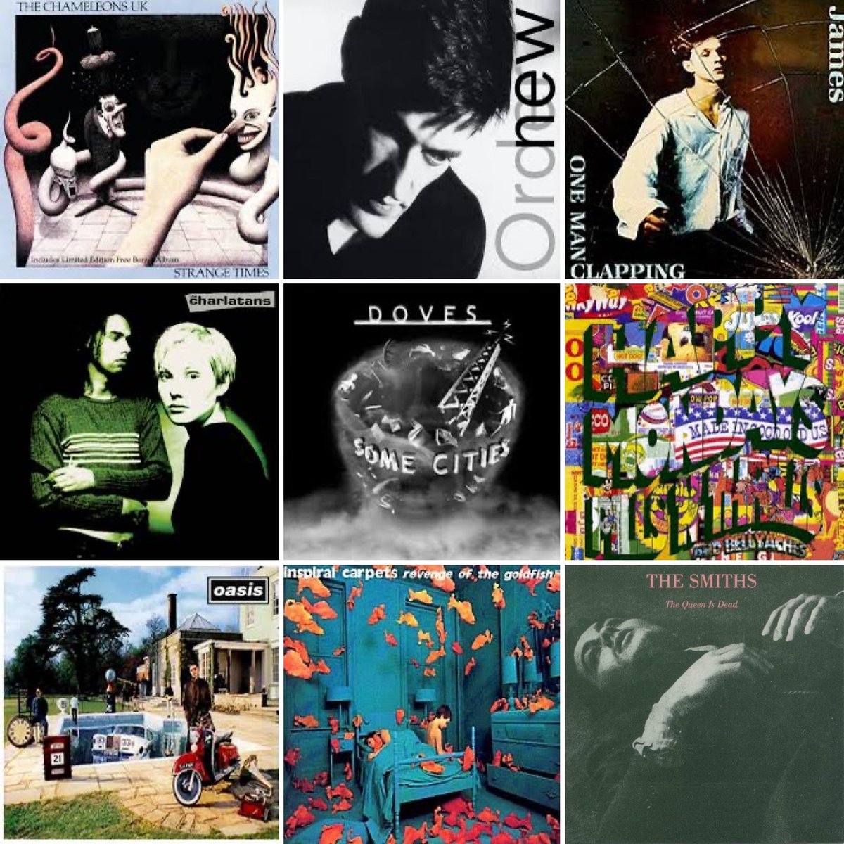 ᴍᴀɴᴄʜᴇꜱᴛᴇʀ ᴍᴜꜱɪᴄ ꜰᴏʀᴇᴠᴇʀ™️ tweet media