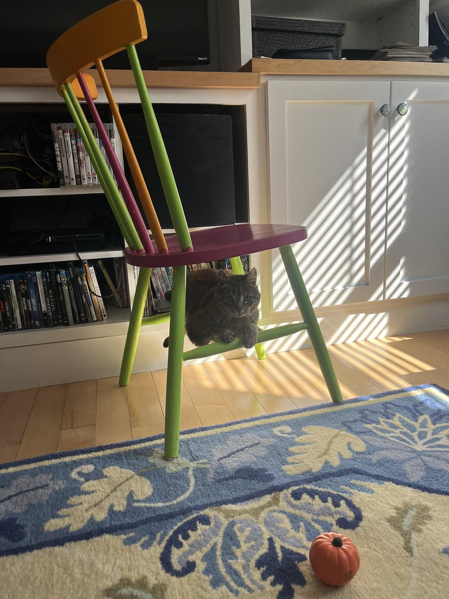 i (Moppy) discovered an new place 2 sit