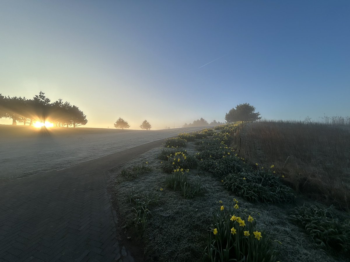 BirgithaBakker's tweet image. Wat een mooie start van de dag! 🤩✨ Een rustige en zonnige zondag om lekker op te laden en te genieten. ☀️ Maak er een fijne avond van! 🌙⭐️
#enjoythelittlethings ✨ #relax #samennaarbuiten 🌿 #duurzameinzetbaarheid