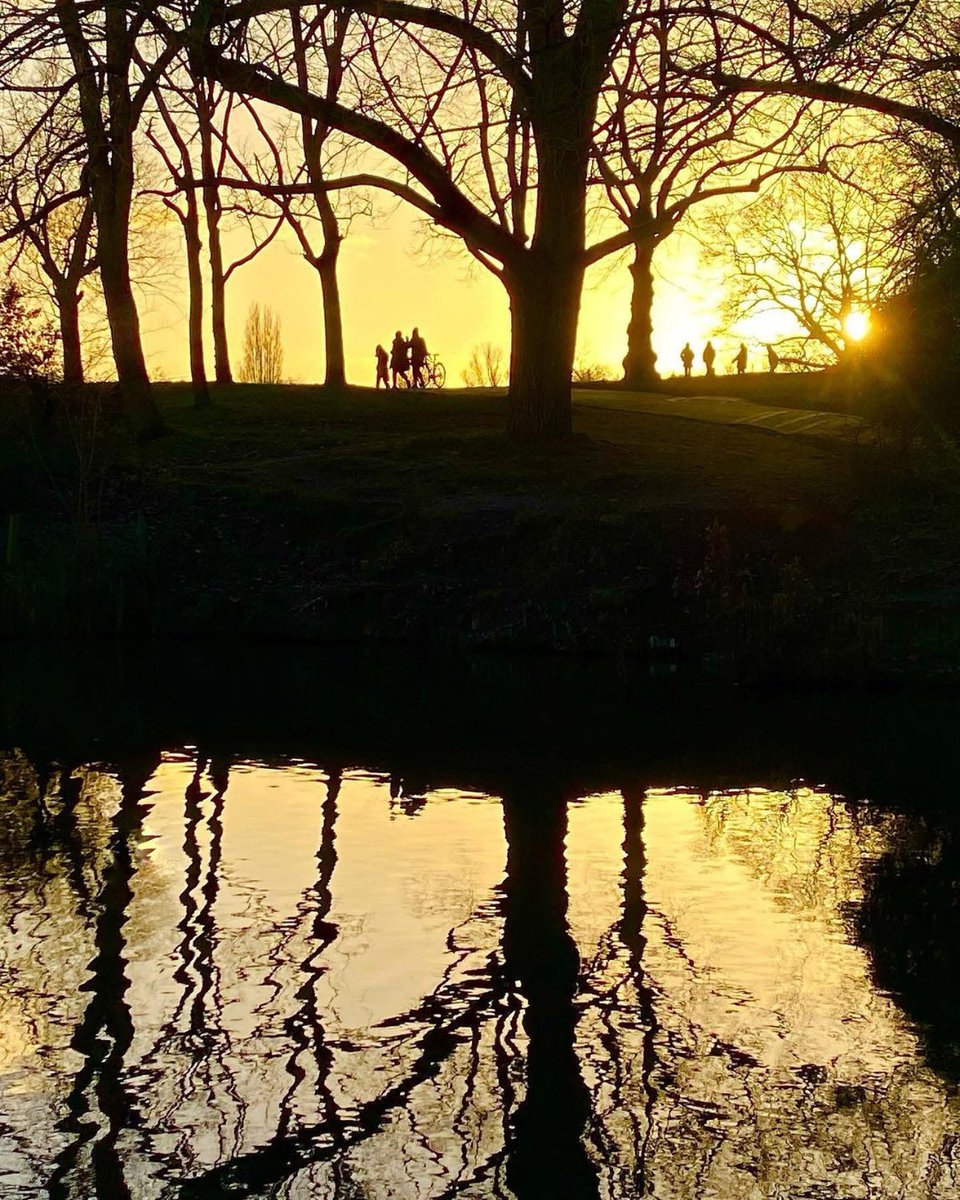 Hampstead Heath tweet media