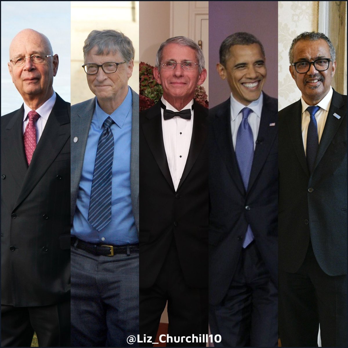 liz_churchill10's tweet image. ARREST these ‘Pandemic Planning’ Biological Terrorists…