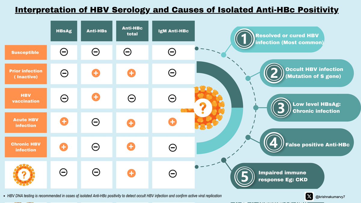 krishnakumarvy7's tweet image. HBV serology pre transplant evaluation -Key notes #HBV #Transplant #Vaccination #CKD @balwani__manish @dakidneydoc @divyaa24 @dr_sourabha @dra_miliflores @drpriyajohn @elbaonelida @happiedoc @hardik4u24 @JasmineNephro @drpriyajohn @nephromythri @myadla @aarthi_dr