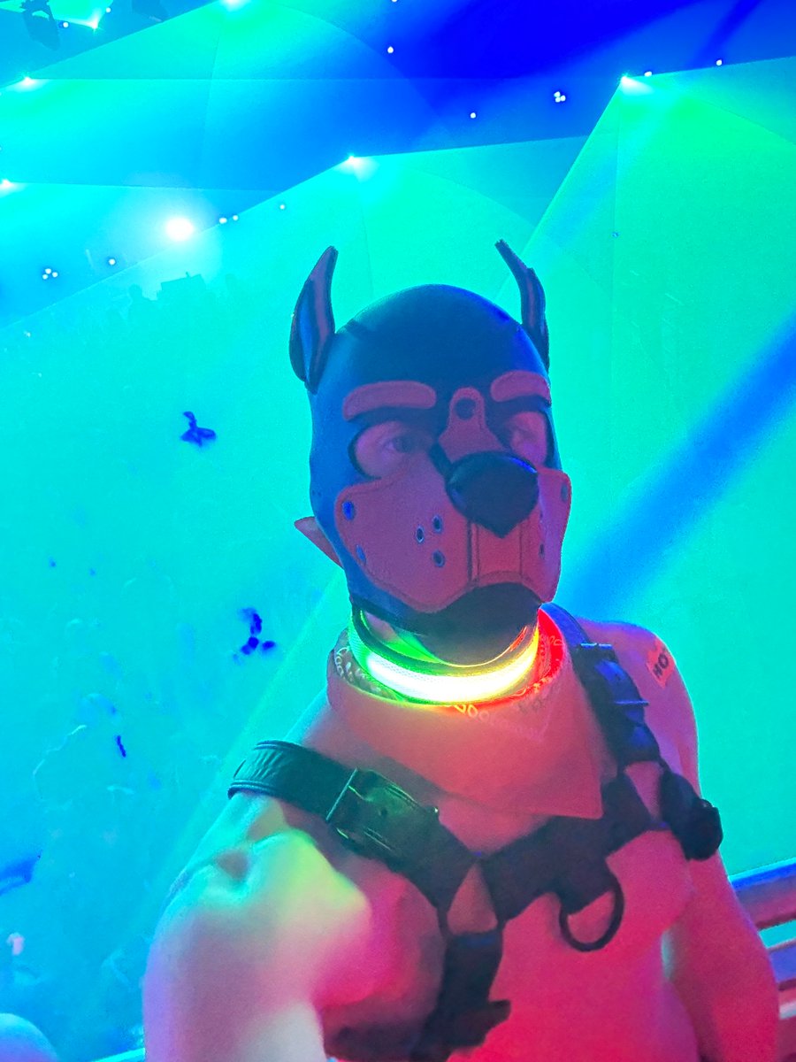 Being a good boy at darklands this weekend