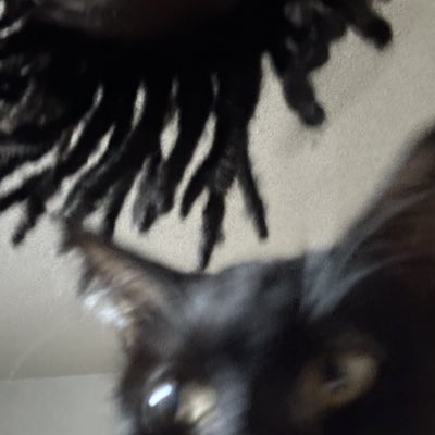 FTB_Kage's tweet photo. #NewProfilePic https://t.co/PfWGirMtLF