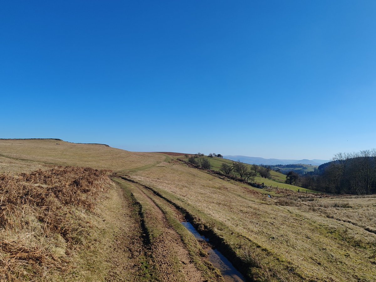 smoggiewalks's tweet image. Trig point challenge Crickadarn SO 06439 40804 #trigpointchallenge #bordercollie #midwales #getoutside @DerekTheWeather @OrdnanceSurvey @NatResWales @TrigThursday