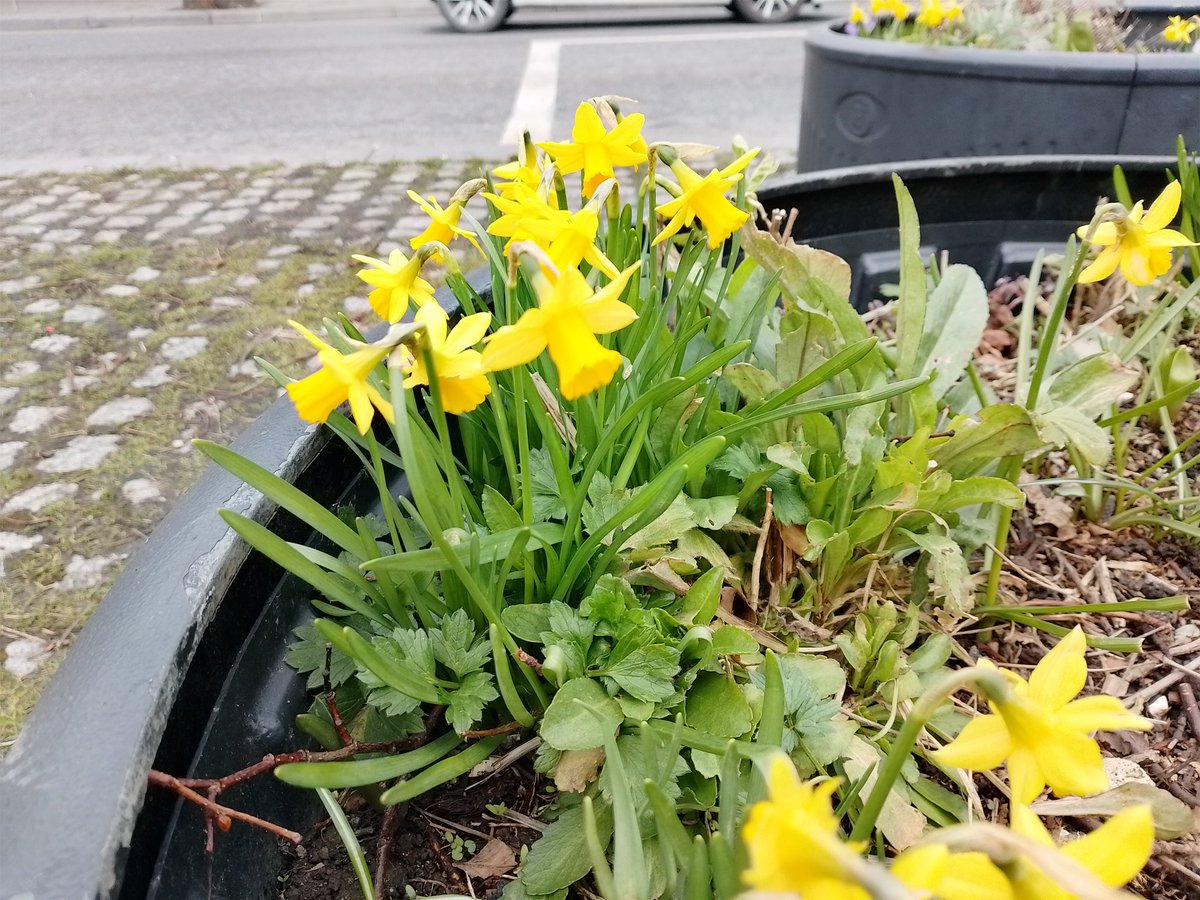 BettinaRezania's tweet photo. Day 790/791 of #800daysofwalking #100daysofwalking https://t.co/1ThOTQFDPL