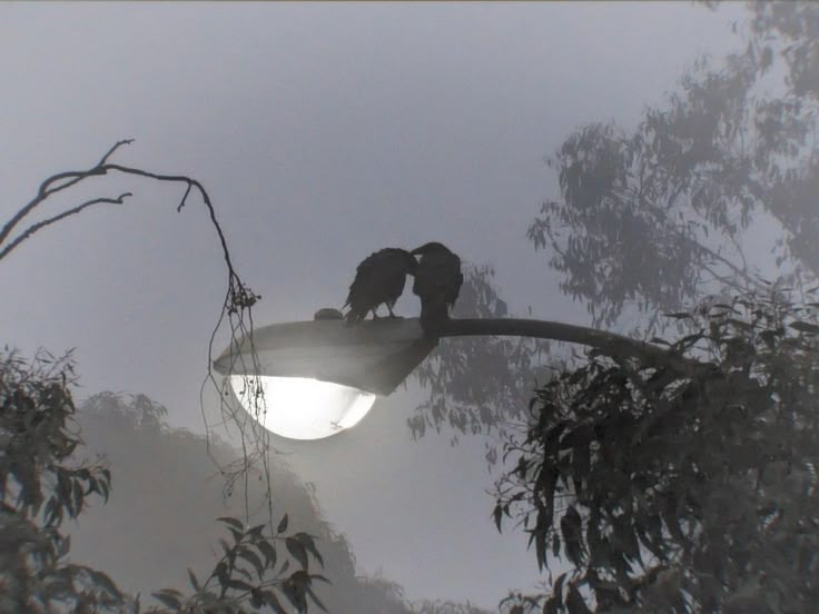 ✞ 🗝️ (@hakaelll) on Twitter photo 