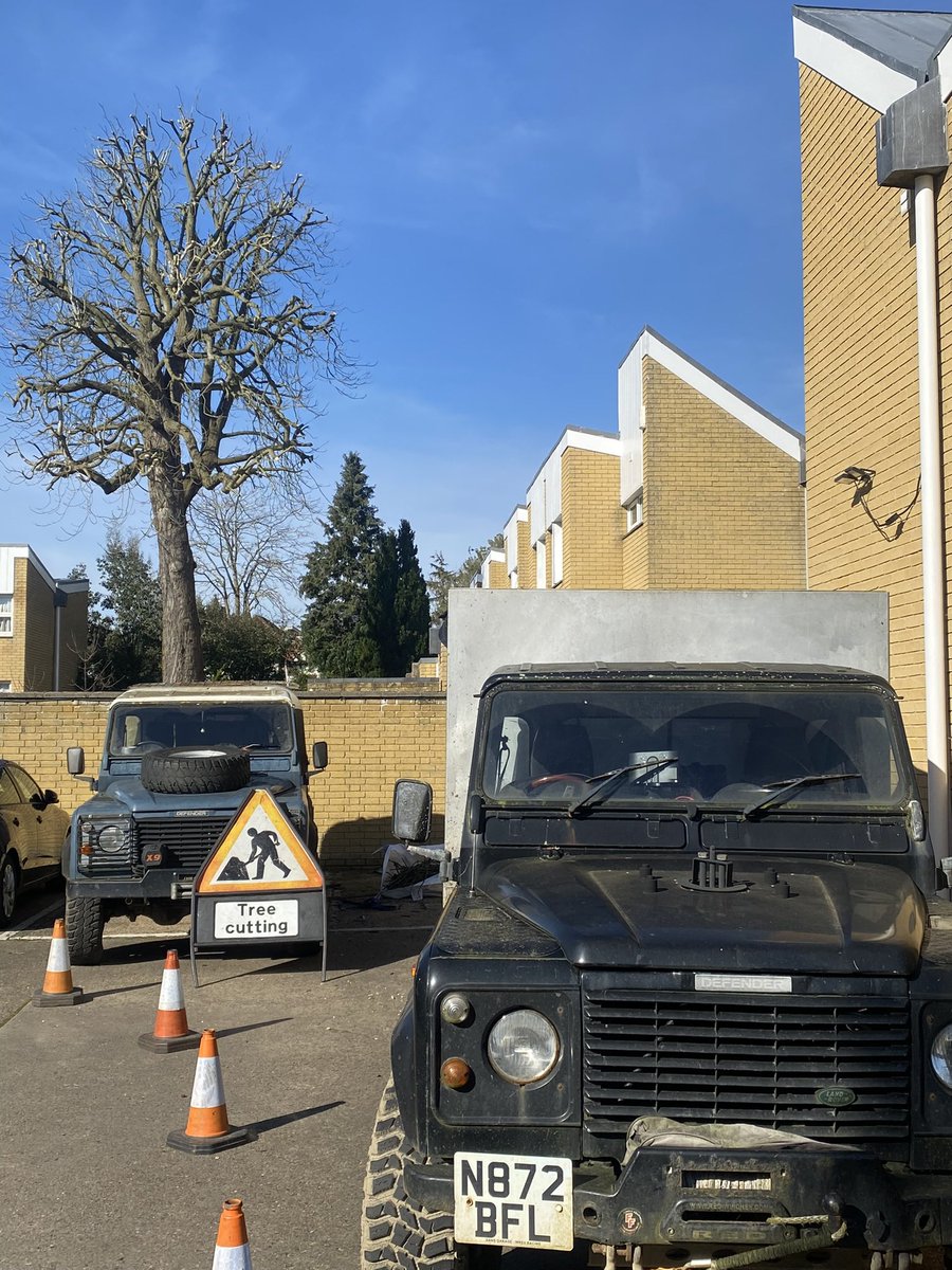 andybrammers's tweet image. Thanks to North Oxford Trees and Gardens for their amazing crown reduction of our cherished Horse Chestnut - our Span estate was built around it after Tolkien stopped it from being felled. Props to their working Landies too - not fashion accessories!