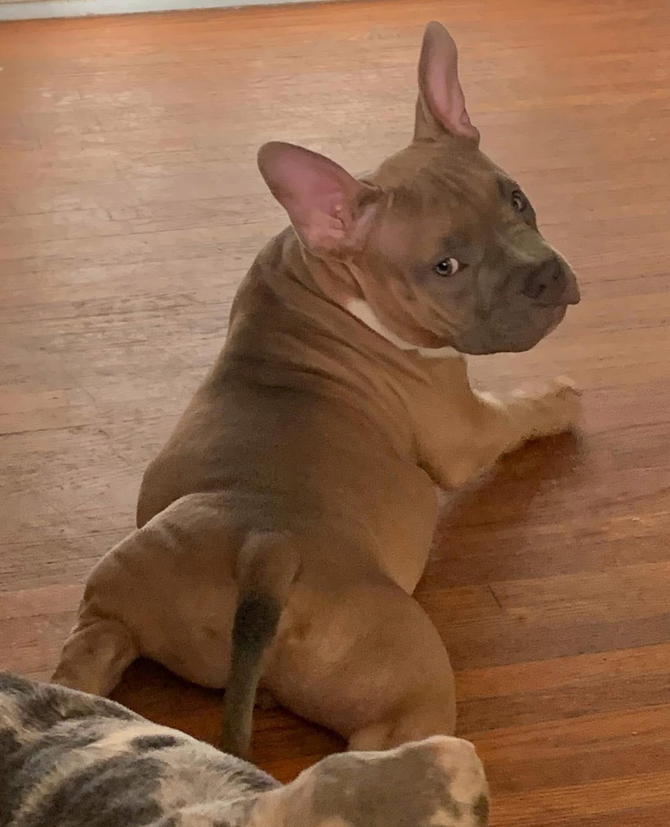 ReignPBK's tweet image. Our boy Rick James😍