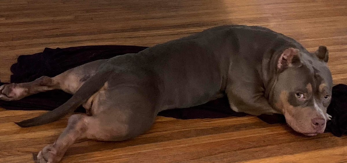 ReignPBK's tweet image. Our pretty girl Meg🥰