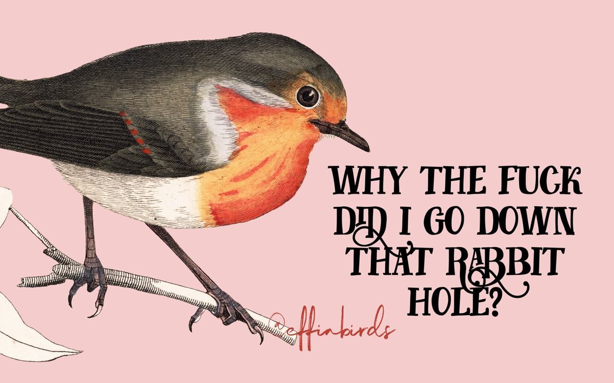 Effin' Birds tweet media