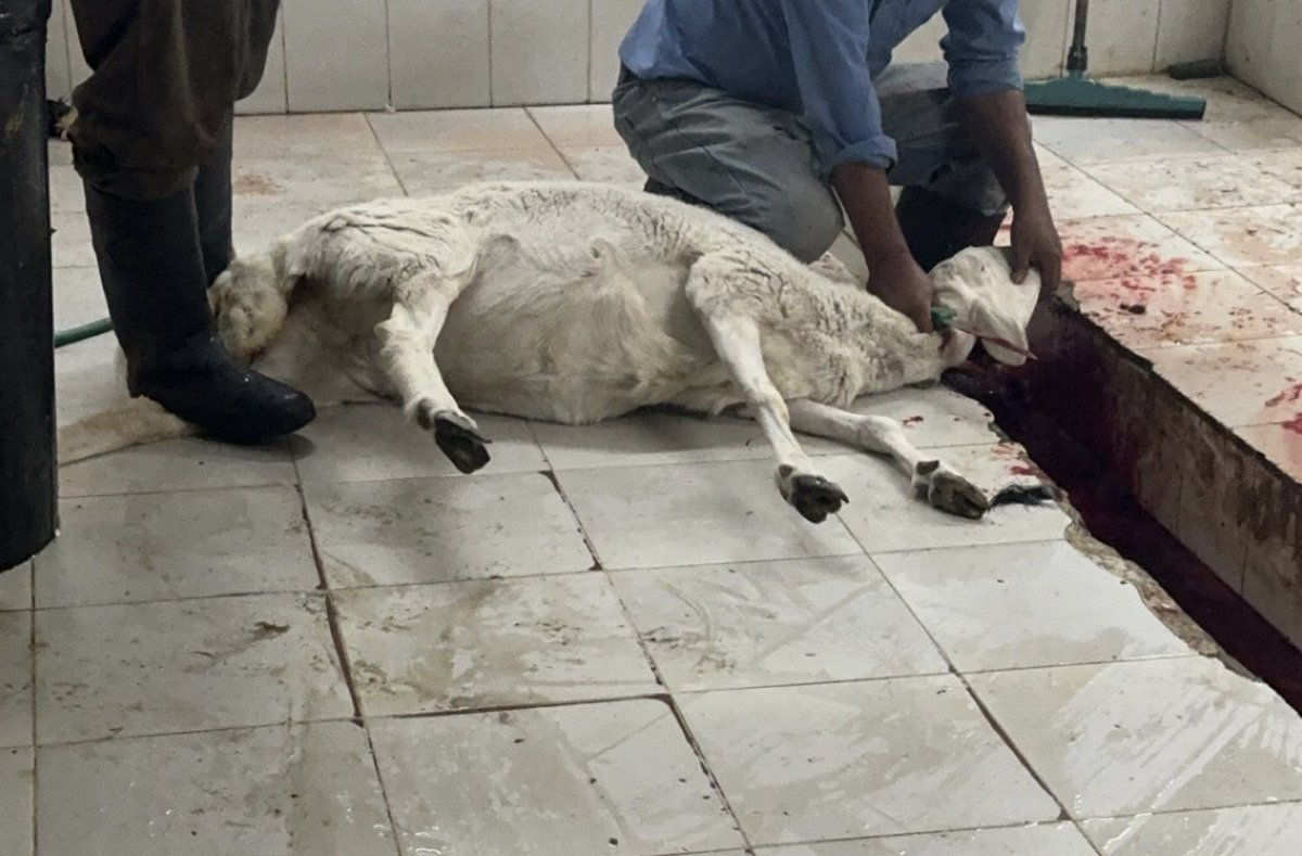 والي في المصلخ يشارك ولا لا 😅😅. 

<a href="/saeed86_/">سعيد الدحابيب</a> 

 #من_الصامل8