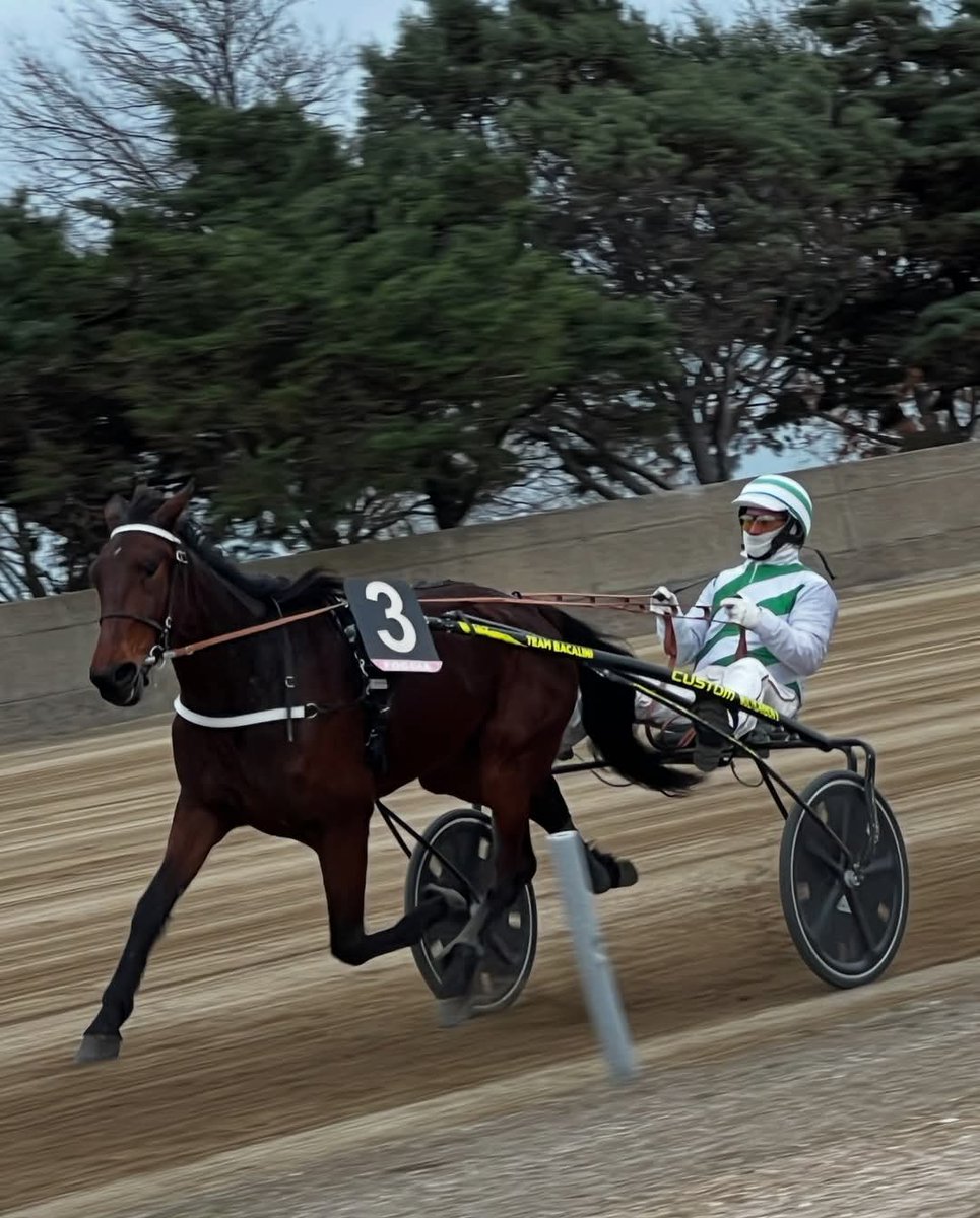 Goggia #Greenshoe won the Gran Premio Saranno Famosi in Foggia 🇮🇹