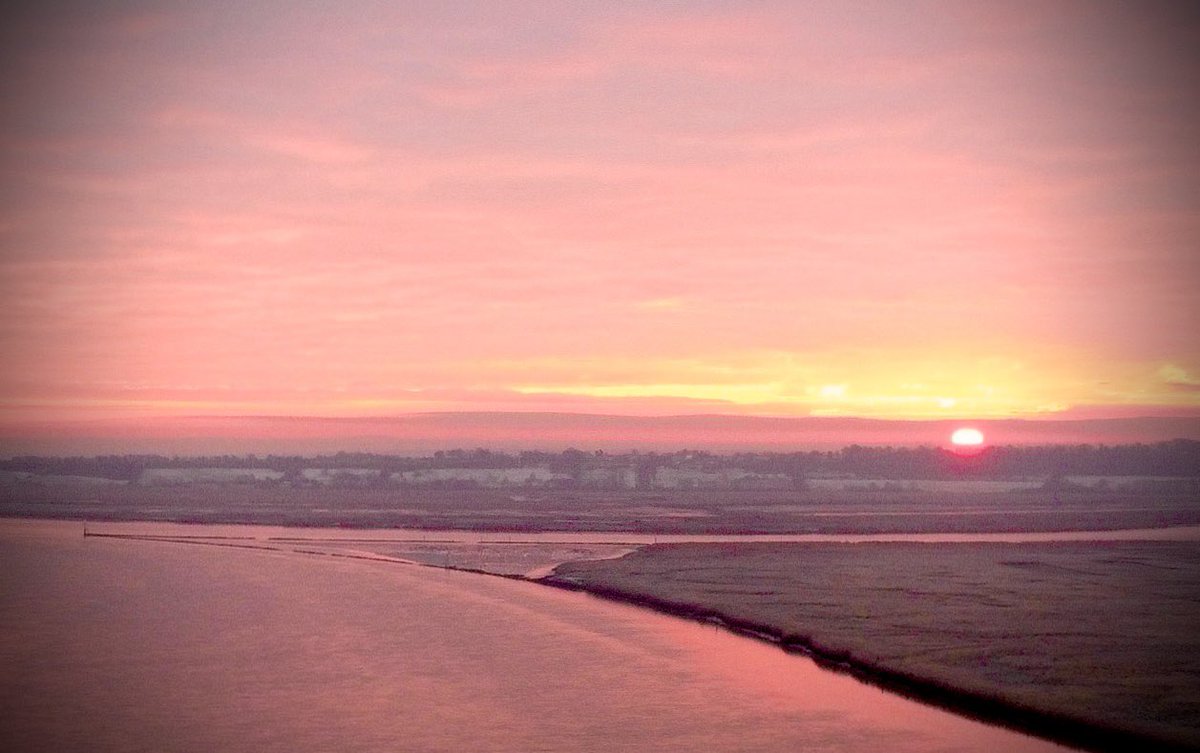 Iain Ross (@iain_ross_) on Twitter photo It was brilliant seeing <a href="/Blacktoft_Sands/">RSPB Blacktoft Sands and the Humber</a> and <a href="/LincsWildlife/">Lincs Wildlife Trust</a> Far Ings on #countryfile this evening. I adore living at Blacktoft close to the beginning of the #Humber. It’s a magical place. Nice to see <a href="/pilsworth_mike/">mike pilsworth</a> and <a href="/Pernisaviporus/">Simon Wellock</a> on our telly! <a href="/humbernature/">Humber Nature Partnership</a> It was brilliant seeing <a href="/Blacktoft_Sands/">RSPB Blacktoft Sands and the Humber</a> and <a href="/LincsWildlife/">Lincs Wildlife Trust</a> Far Ings on #countryfile this evening. I adore living at Blacktoft close to the beginning of the #Humber. It’s a magical place. Nice to see <a href="/pilsworth_mike/">mike pilsworth</a> and <a href="/Pernisaviporus/">Simon Wellock</a> on our telly! <a href="/humbernature/">Humber Nature Partnership</a>