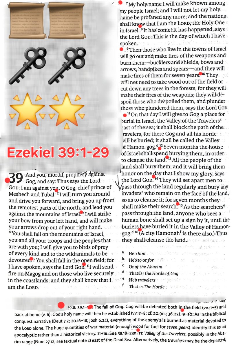 TeXasMadde's tweet image. #ApocalypticBookStudy #34 
📜Ezekiel 39:1-29

🏞Valley of the Travellers

🗝 Vs.11 -Spirits (ôb; plural &apos;obôt AKA oběrim) those who have passed over

✨️ A portal to the Netherworld denoting the spirits crossing the border between the land of the living to the world of the dead