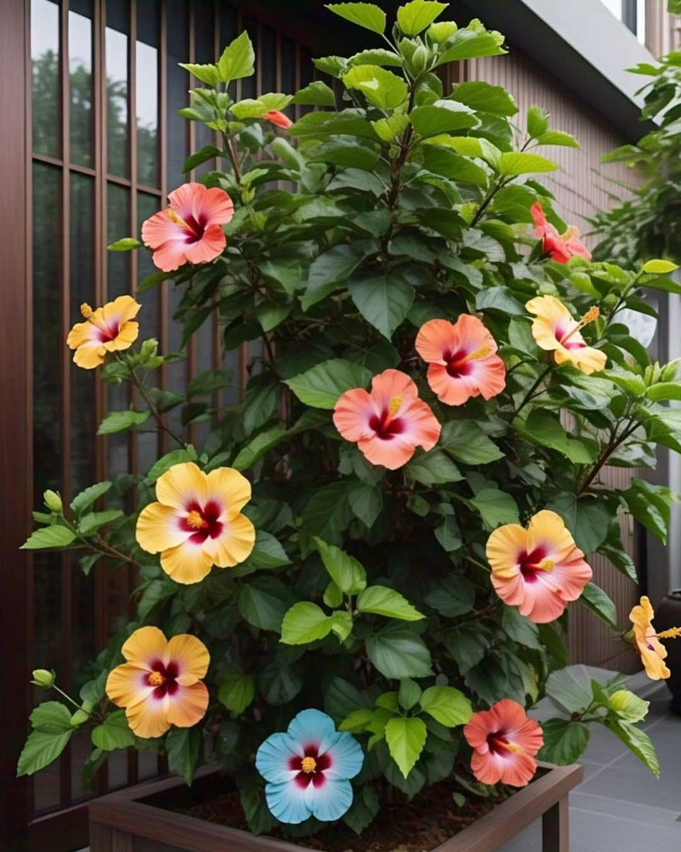 #MondayVibes 🌿🌿