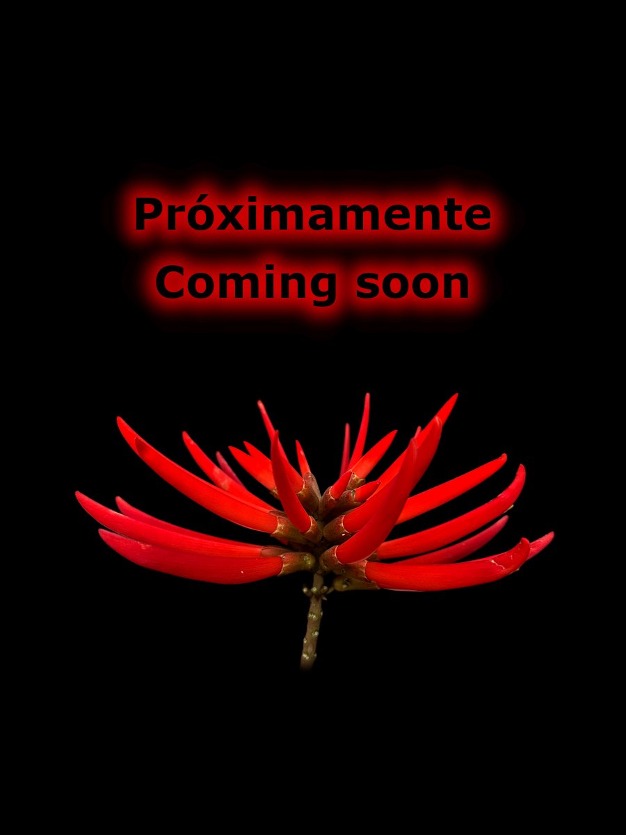 #botany #flowers #taxonomy #plants