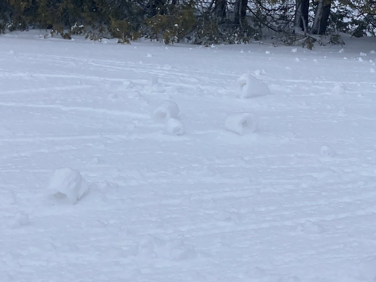 Snow roller phenomenon on Feb 28,2025 in Mount Forest! #onstorm