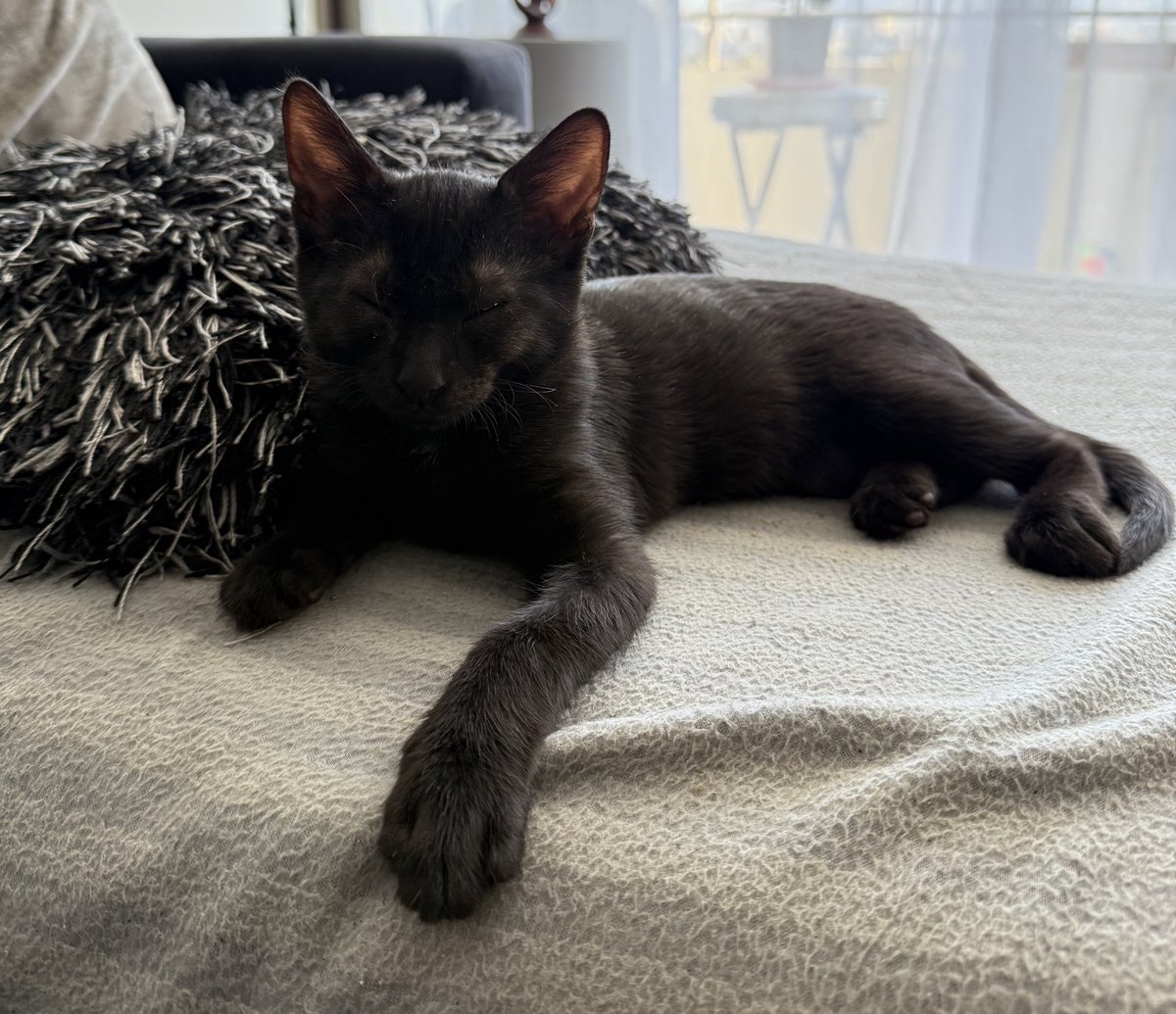 Aquí el ganador del Oscar