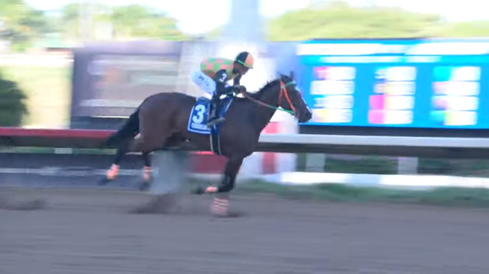 Siempre en la Pomada 🐴 (@en_la_pomada) on Twitter photo #Hipismo #PuertoRico | Completamente superior. CARIBBEAN GAL (Thousand Words) se impuso de punta a punta y por vía de galope en el 9° Clásico “Defensora” (Gr. 2, 1700 m) en <a href="/camareropr/">Hipódromo Camarero</a>.
Presentado por: <a href="/videohipico/">VideoHipico</a>. Clic en el enlace: tinyurl.com/yc58zemd #Hipismo #PuertoRico | Completamente superior. CARIBBEAN GAL (Thousand Words) se impuso de punta a punta y por vía de galope en el 9° Clásico “Defensora” (Gr. 2, 1700 m) en <a href="/camareropr/">Hipódromo Camarero</a>.
Presentado por: <a href="/videohipico/">VideoHipico</a>. Clic en el enlace: tinyurl.com/yc58zemd