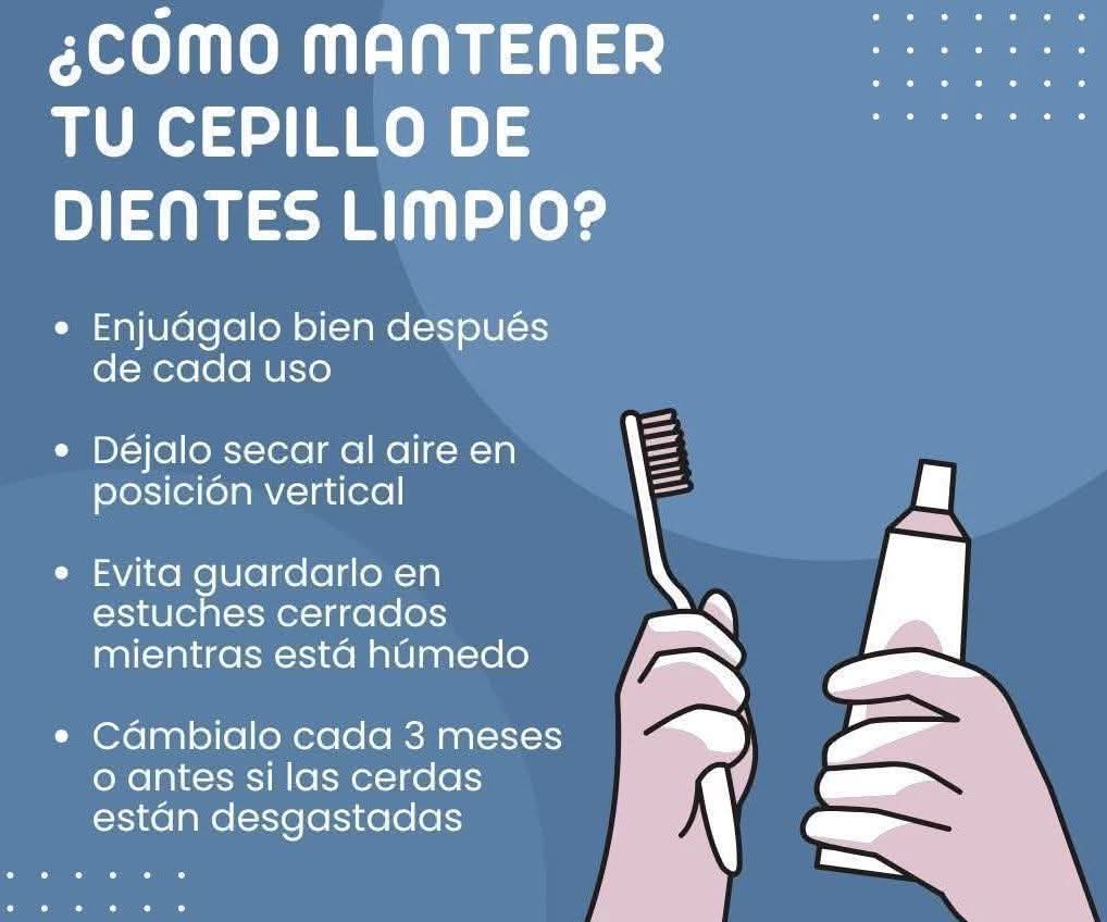 DentMaya's tweet photo. ✅¿Cómo mantener tu cepillo de dientes limpio? 🦷✨
🪥¡Tenerlo limpio es clave para una sonrisa sana! 😁✨ https://t.co/F18EPMH1ZR