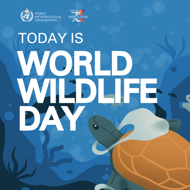 World Wildlife Day: Investing in People and Planet, Protecting Our Future #WWD2025 

On #WorldWildlifeDay, let's invest in people and planet by supporting wildlife conservation finance, including early warning systems that protect us all. #EarlyWarningForAll #WWD2025.