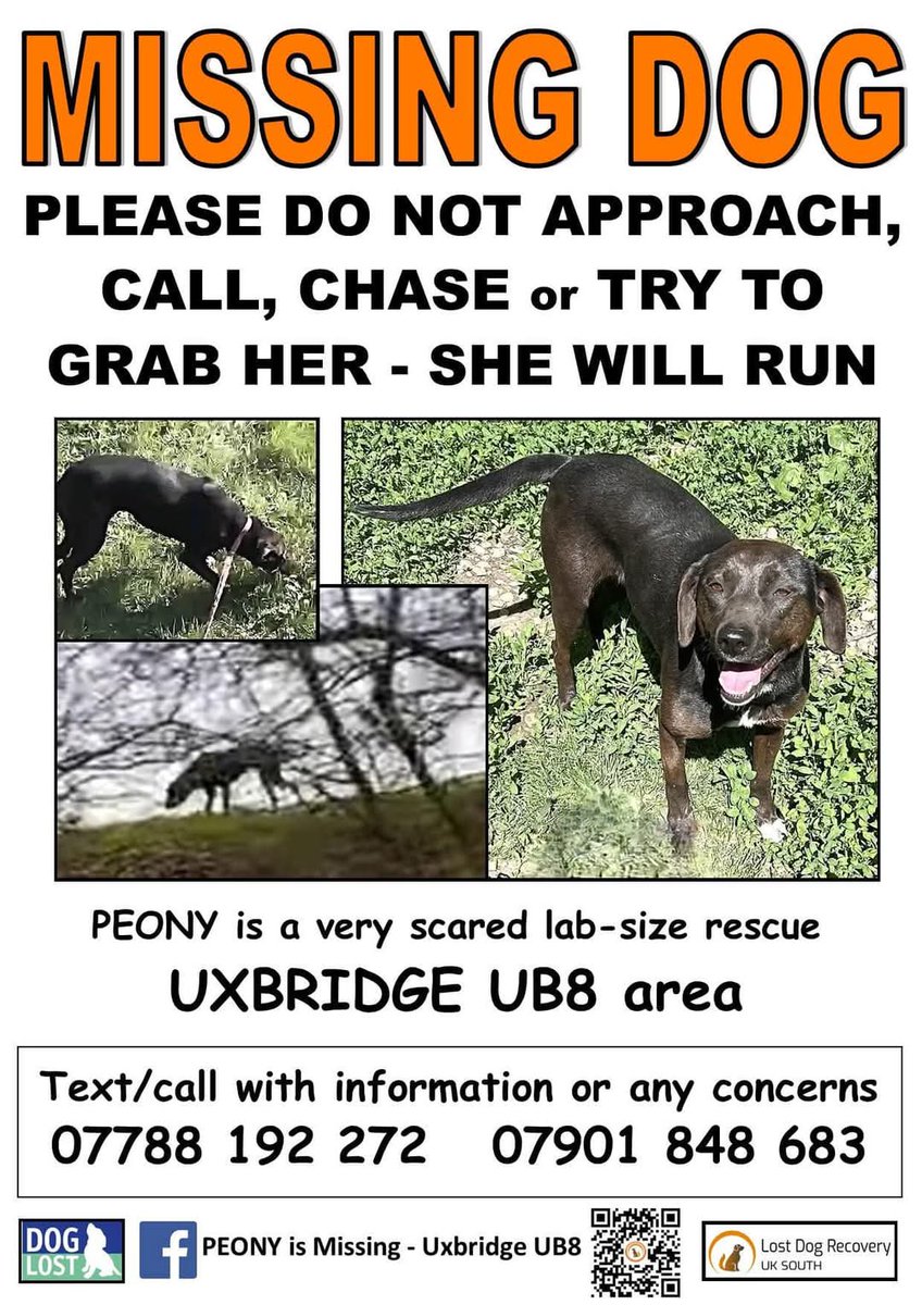 No sightings of PEONY since 4/12 when she was sighted nr West Drayton Station
She could have travelled many miles by now using the rail lines, the canal path, via the network of lakes &amp; paths around WEST DRAYTON/ IVER/LANGLEY/GEORGE GREEN/WEST UXBRIDGE/ IVER HEATH #stolendoghour